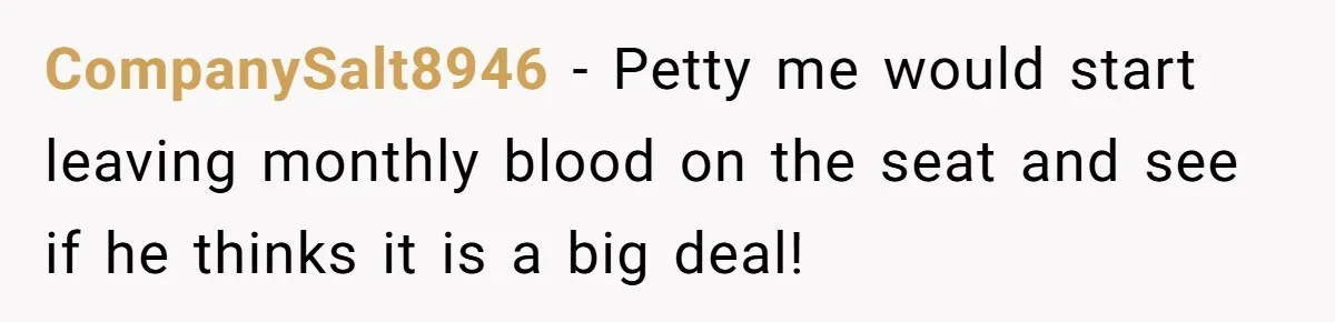CompanySalt8946 − Petty me would start leaving monthly blood on the seat and see if he thinks it is a big deal!