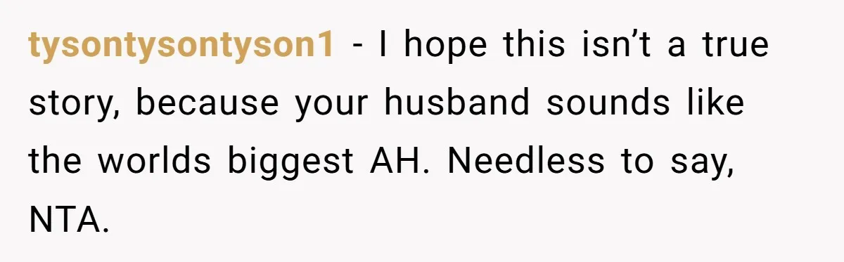 tysontysontyson1 − I hope this isn’t a true story, because your husband sounds like the worlds biggest AH. Needless to say, NTA.