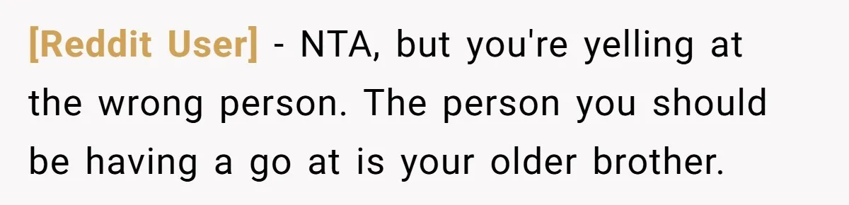 [Reddit User] − NTA, but you're yelling at the wrong person. The person you should be having a go at is your older brother.