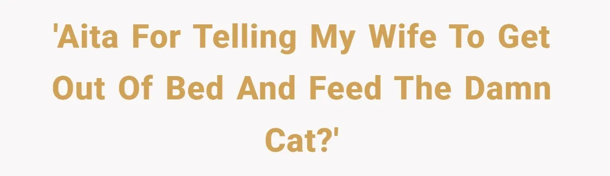 'AITA for Telling My Wife to Get Out of Bed and Feed the Damn Cat?'