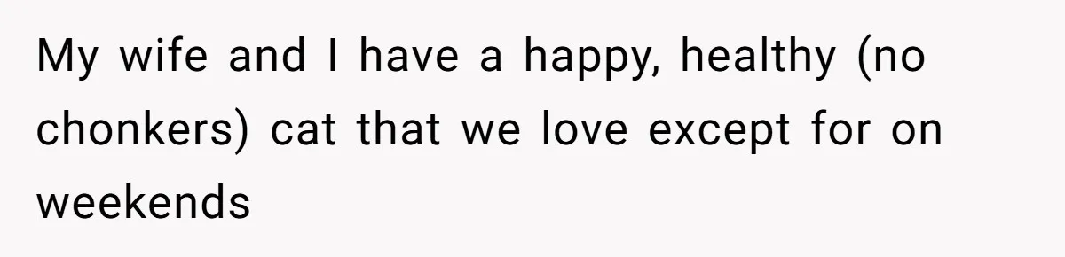 My wife and I have a happy, healthy (no chonkers) cat that we love except for on weekends