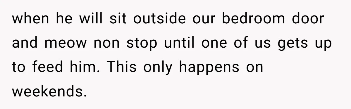 when he will sit outside our bedroom door and meow non stop until one of us gets up to feed him. This only happens on weekends.