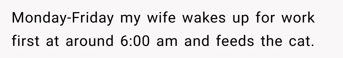 Monday-Friday my wife wakes up for work first at around 6:00 am and feeds the cat.