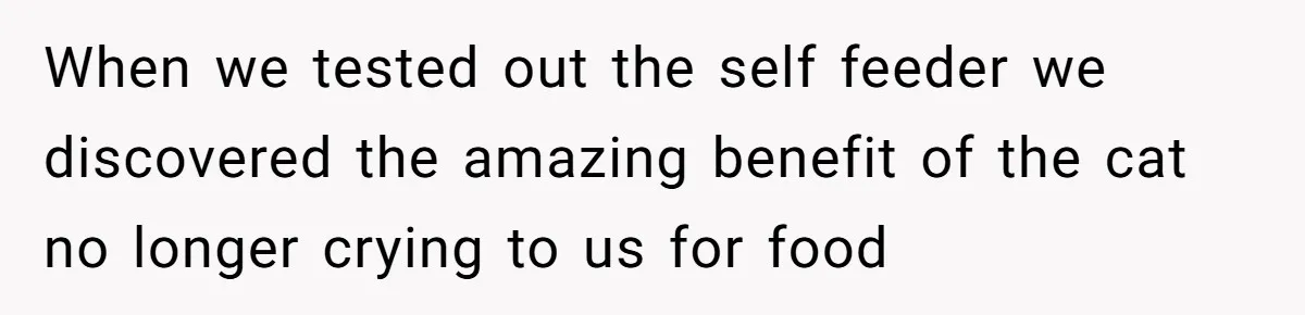 When we tested out the self feeder we discovered the amazing benefit of the cat no longer crying to us for food