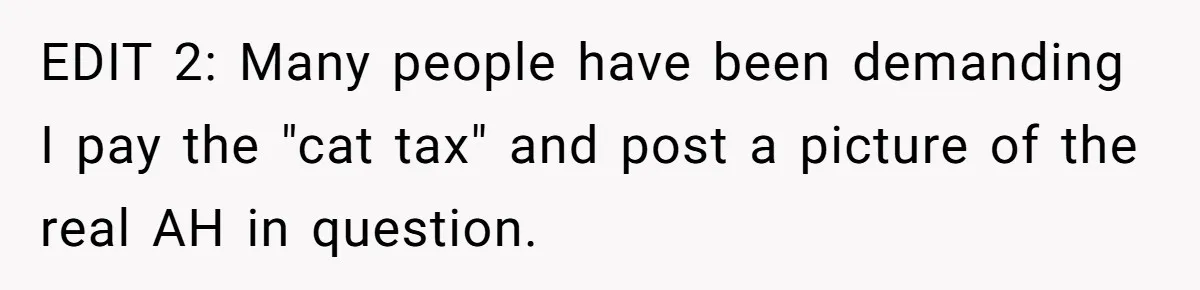 EDIT 2: Many people have been demanding I pay the "cat tax" and post a picture of the real AH in question.