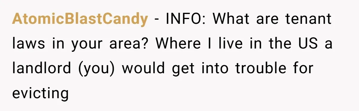 AtomicBlastCandy − INFO: What are tenant laws in your area? Where I live in the US a landlord (you) would get into trouble for evicting