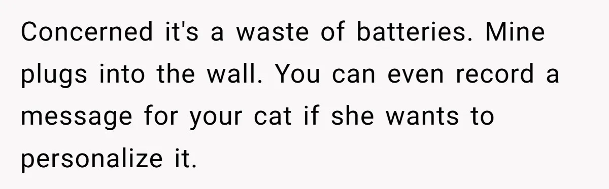 Concerned it's a waste of batteries. Mine plugs into the wall. You can even record a message for your cat if she wants to personalize it.
