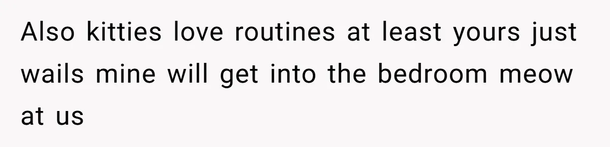 Also kitties love routines at least yours just wails mine will get into the bedroom meow at us