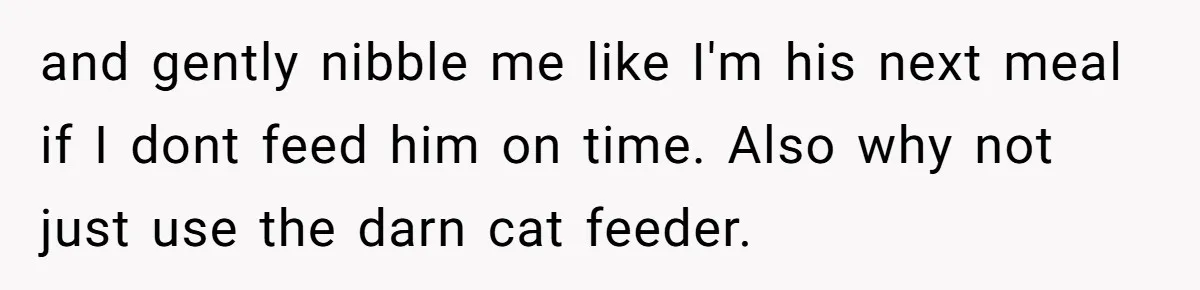 and gently nibble me like I'm his next meal if I dont feed him on time. Also why not just use the darn cat feeder.