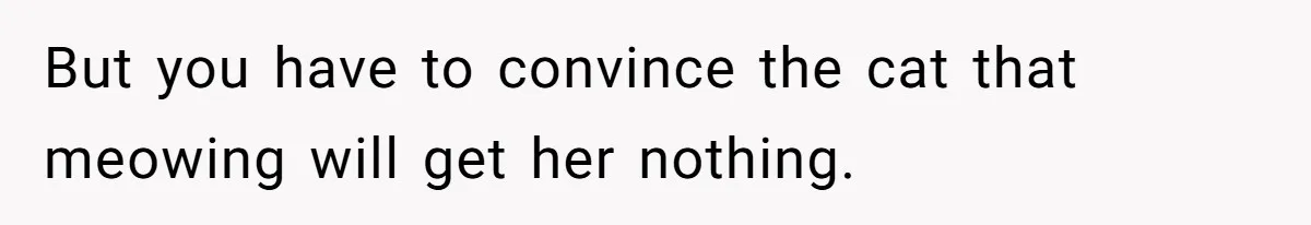 But you have to convince the cat that meowing will get her nothing.