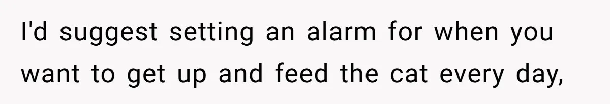 I'd suggest setting an alarm for when you want to get up and feed the cat every day,