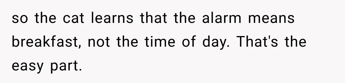 so the cat learns that the alarm means breakfast, not the time of day. That's the easy part.