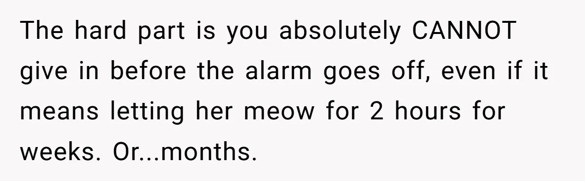 The hard part is you absolutely CANNOT give in before the alarm goes off, even if it means letting her meow for 2 hours for weeks. Or...months.