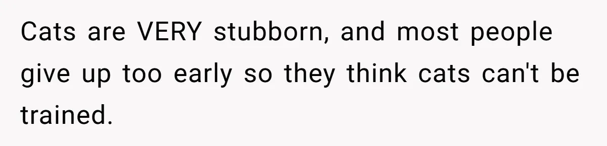 Cats are VERY stubborn, and most people give up too early so they think cats can't be trained.