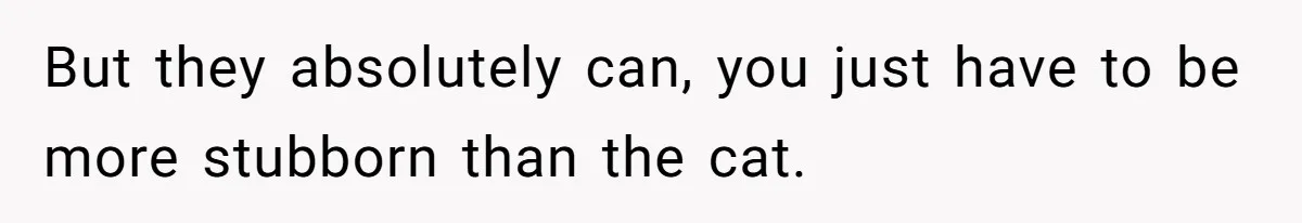 But they absolutely can, you just have to be more stubborn than the cat.