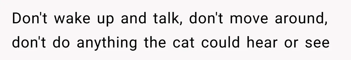 Don't wake up and talk, don't move around, don't do anything the cat could hear or see