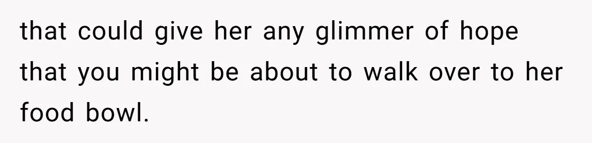 that could give her any glimmer of hope that you might be about to walk over to her food bowl.
