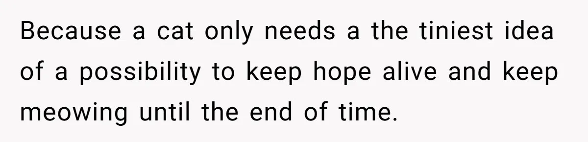 Because a cat only needs a the tiniest idea of a possibility to keep hope alive and keep meowing until the end of time.