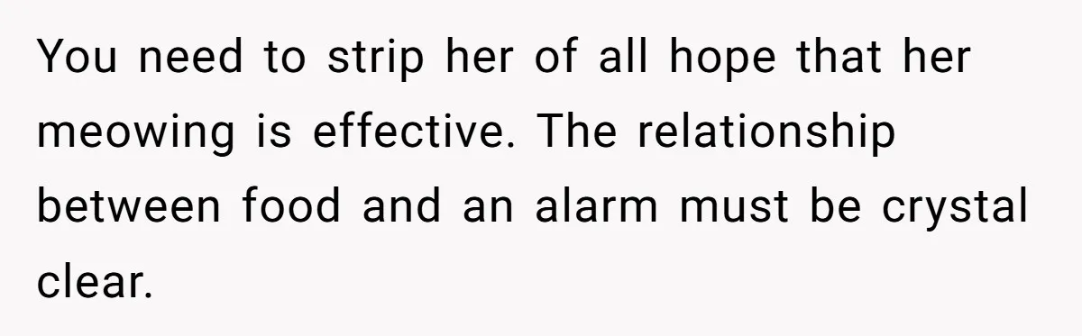 You need to strip her of all hope that her meowing is effective. The relationship between food and an alarm must be crystal clear.