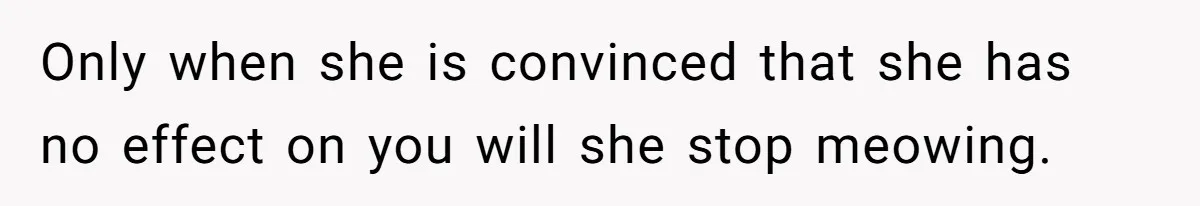 Only when she is convinced that she has no effect on you will she stop meowing.