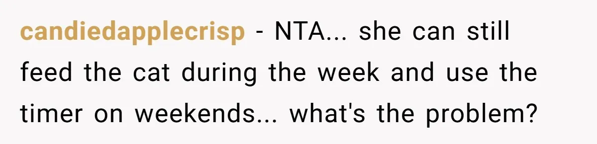 candiedapplecrisp − NTA... she can still feed the cat during the week and use the timer on weekends... what's the problem?