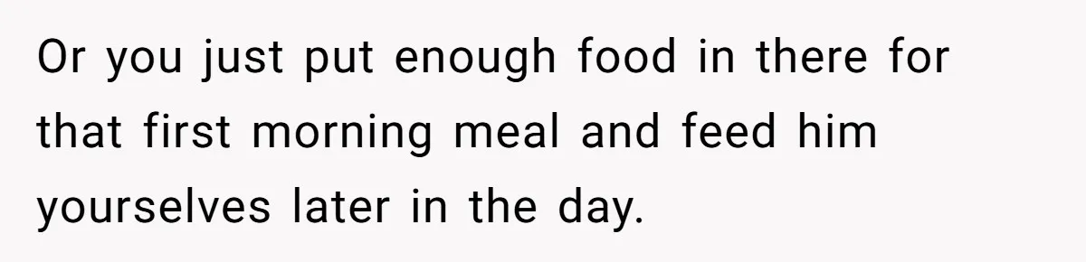 Or you just put enough food in there for that first morning meal and feed him yourselves later in the day.