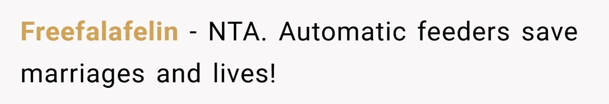Freefalafelin − NTA. Automatic feeders save marriages and lives!
