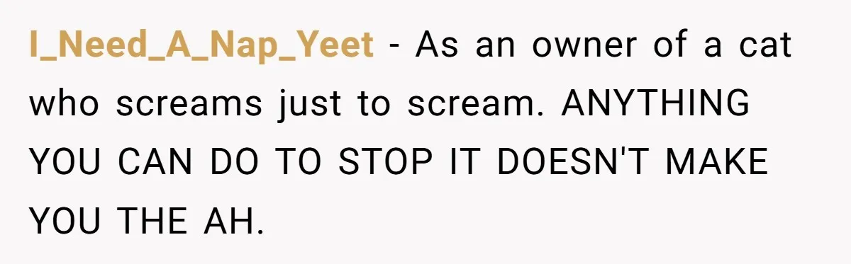 I_Need_A_Nap_Yeet − As an owner of a cat who screams just to scream. ANYTHING YOU CAN DO TO STOP IT DOESN'T MAKE YOU THE AH.