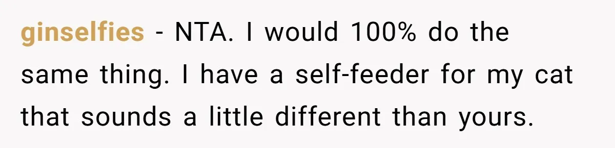 ginselfies − NTA. I would 100% do the same thing. I have a self-feeder for my cat that sounds a little different than yours.