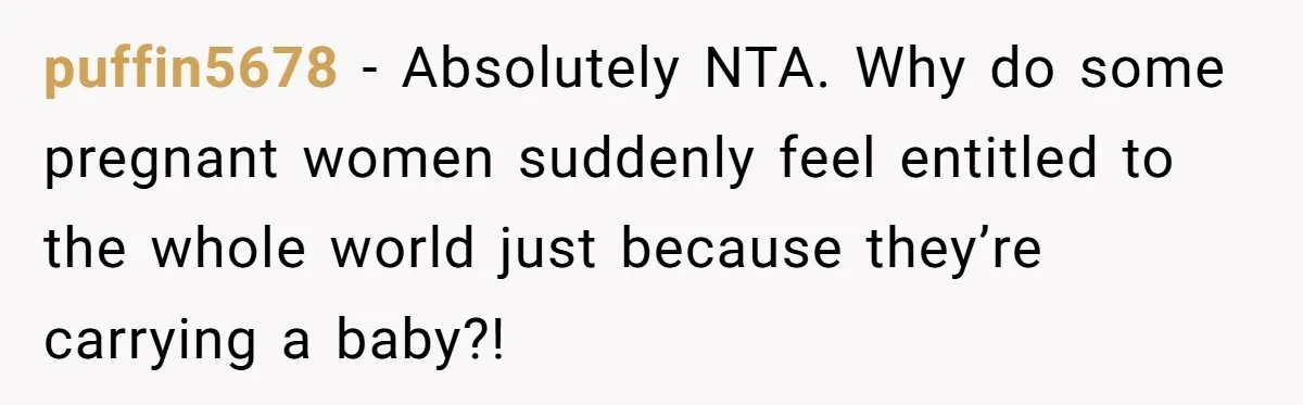 puffin5678 − Absolutely NTA. Why do some pregnant women suddenly feel entitled to the whole world just because they’re carrying a baby?!