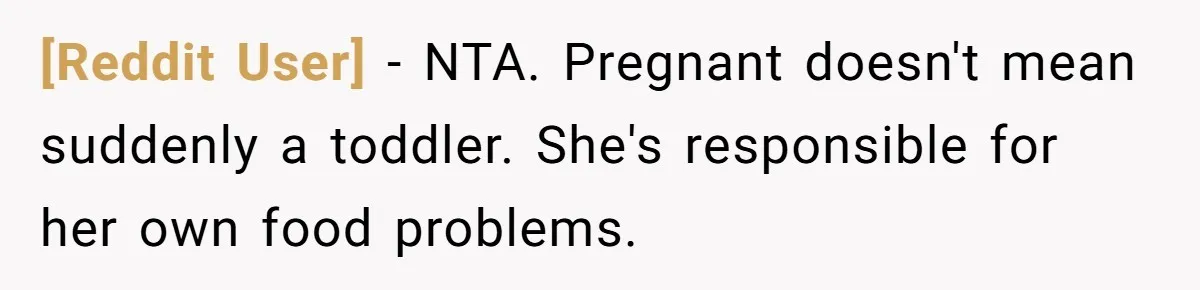 [Reddit User] − NTA. Pregnant doesn't mean suddenly a toddler. She's responsible for her own food problems.