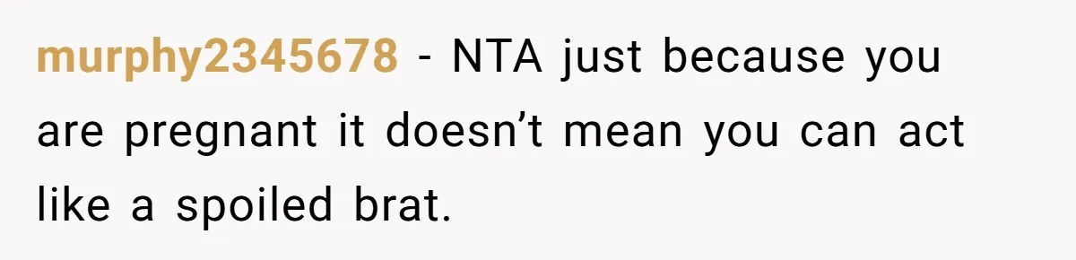 murphy2345678 − NTA just because you are pregnant it doesn’t mean you can act like a spoiled brat.