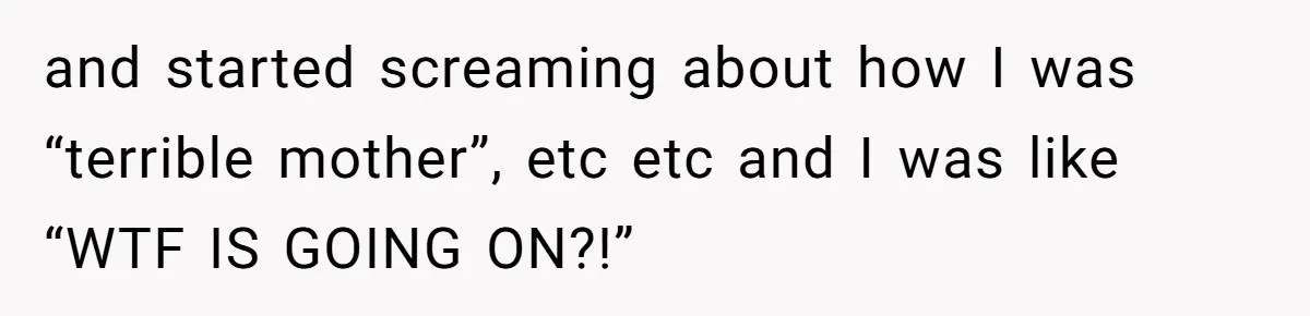 and started screaming about how I was “terrible mother”, etc etc and I was like “WTF IS GOING ON?!”