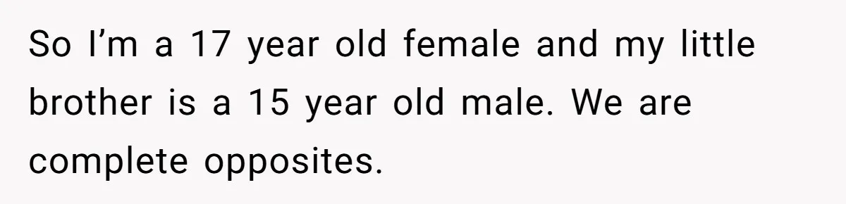 So I’m a 17 year old female and my little brother is a 15 year old male. We are complete opposites.