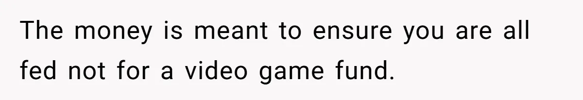 The money is meant to ensure you are all fed not for a video game fund.