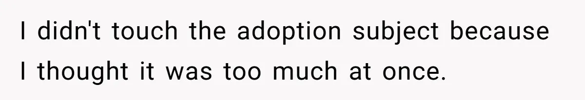 I didn't touch the adoption subject because I thought it was too much at once.