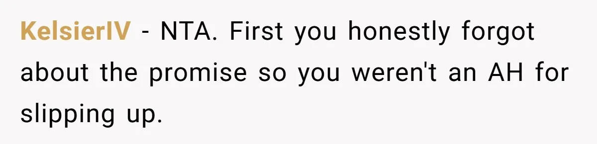 KelsierIV − NTA. First you honestly forgot about the promise so you weren't an AH for slipping up.