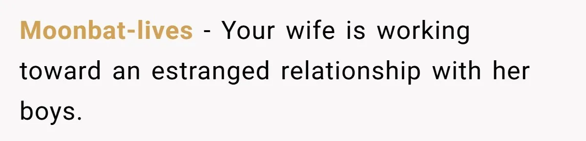 Moonbat-lives − Your wife is working toward an estranged relationship with her boys.