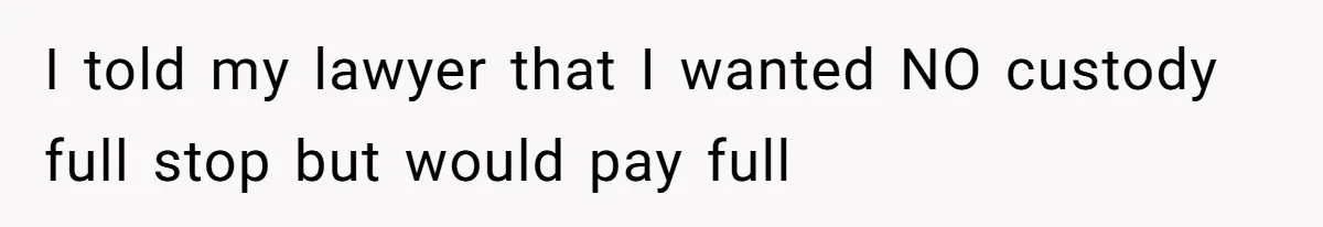 I told my lawyer that I wanted NO custody full stop but would pay full