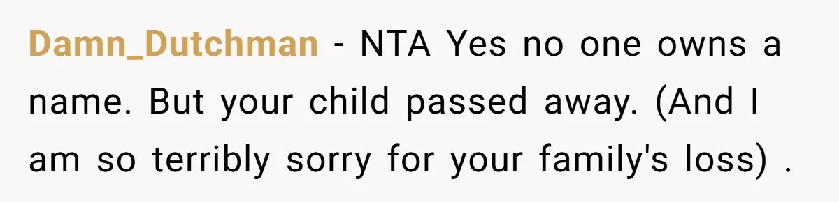 Damn_Dutchman − NTA Yes no one owns a name. But your child passed away. (And I am so terribly sorry for your family's loss) .