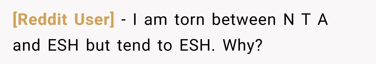 [Reddit User] − I am torn between N T A and ESH but tend to ESH. Why?