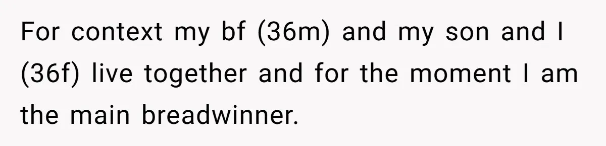 For context my bf (36m) and my son and I (36f) live together and for the moment I am the main breadwinner.