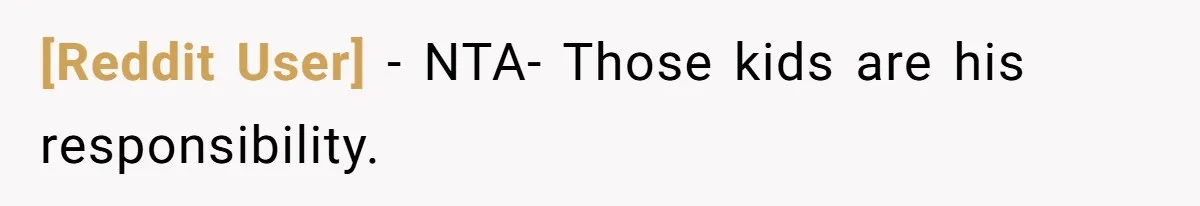 [Reddit User] − NTA- Those kids are his responsibility.