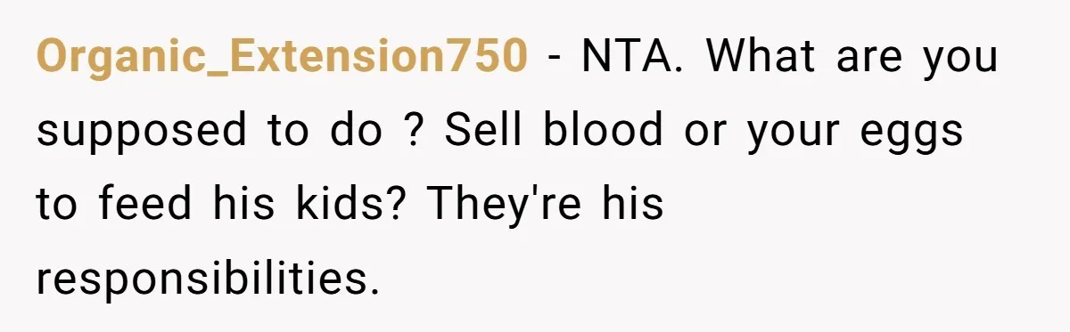 Organic_Extension750 − NTA. What are you supposed to do ? Sell blood or your eggs to feed his kids? They're his responsibilities.
