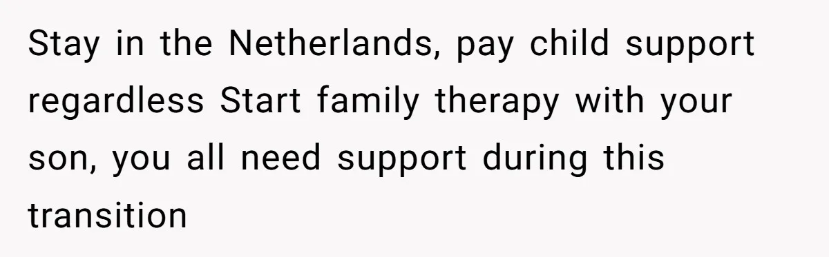 Stay in the Netherlands, pay child support regardless Start family therapy with your son, you all need support during this transition