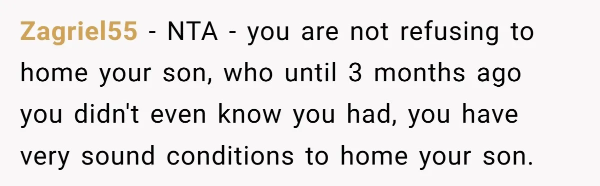 Zagriel55 − NTA - you are not refusing to home your son, who until 3 months ago you didn't even know you had, you have very sound conditions to home...