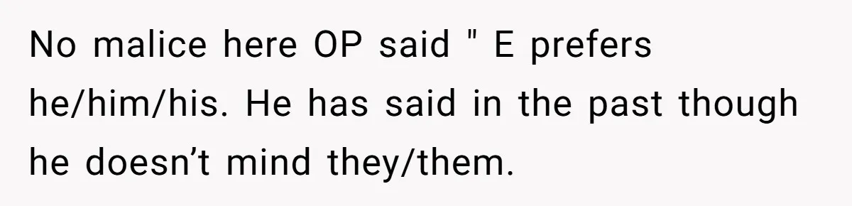 No malice here OP said " E prefers he/him/his. He has said in the past though he doesn’t mind they/them.