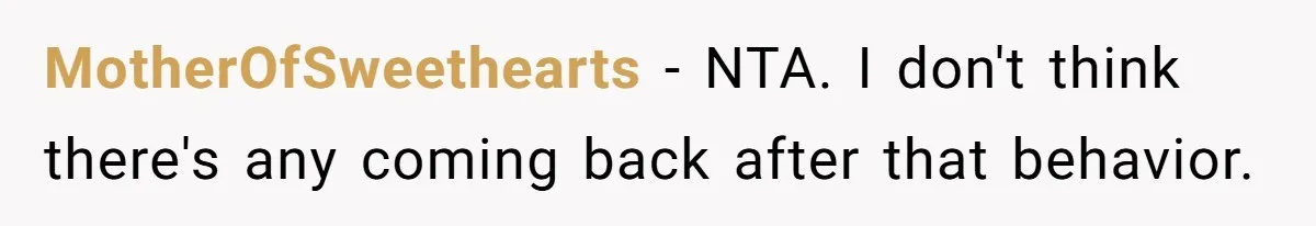MotherOfSweethearts − NTA. I don't think there's any coming back after that behavior.