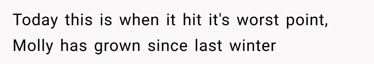 Today this is when it hit it's worst point, Molly has grown since last winter