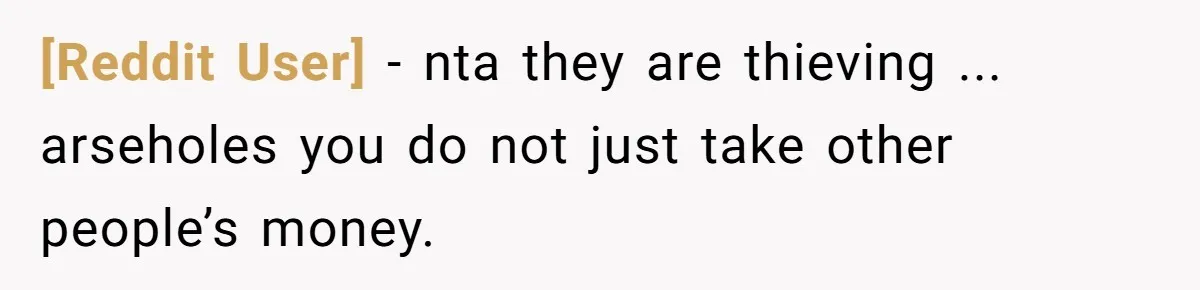 [Reddit User] − nta they are thieving ... arseholes you do not just take other people’s money.